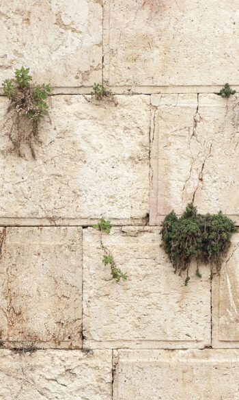 Western Wall_Jerusalem